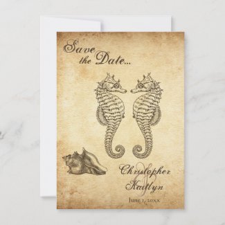 Vintage Seahorses and Conch Shell Beach Wedding Save The Date