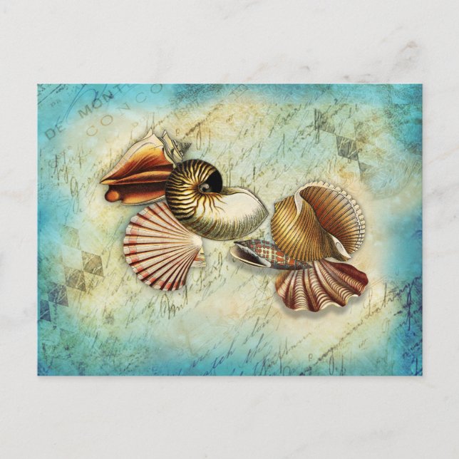 Vintage Seashell Ocean Blue  Postcard (Front)
