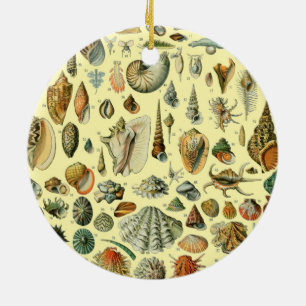 Vintage Seashell Print Adolphe Millot Coastal Ceramic Ornament