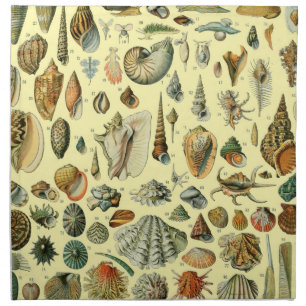 Vintage Seashell Print Adolphe Millot Coastal Cloth Napkin