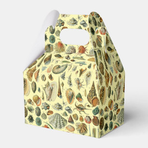 Vintage Seashell Print Adolphe Millot Coastal Favor Boxes