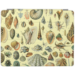 Vintage Seashell Print Adolphe Millot Coastal iPad Smart Cover