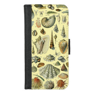 Vintage Seashell Print Adolphe Millot Coastal iPhone 8/7 Wallet Case