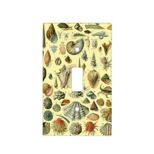 Vintage Seashell Print Adolphe Millot Coastal Light Switch Cover