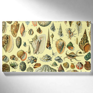 Vintage Seashell Print Adolphe Millot Coastal Name Tag
