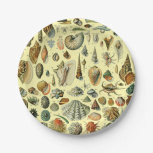 Vintage Seashell Print Adolphe Millot Coastal Paper Plates