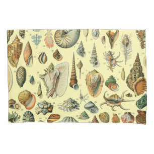 Vintage Seashell Print Adolphe Millot Coastal Pillow Case
