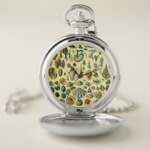 Vintage Seashell Print Adolphe Millot Coastal Pocket Watch