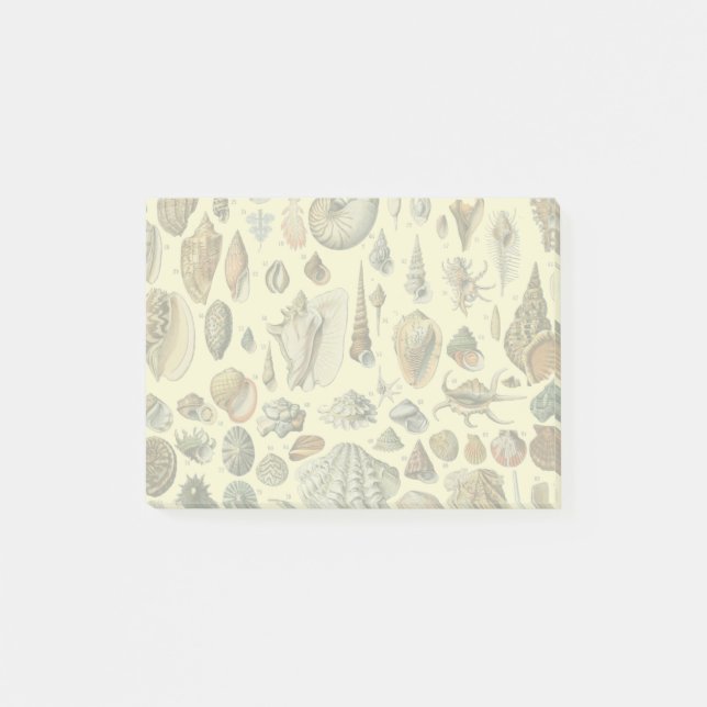 Vintage Seashell Print Adolphe Millot Coastal  Post-it Notes (Front)