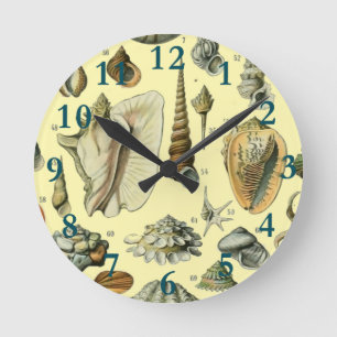 Vintage Seashell Print Adolphe Millot Coastal Round Clock