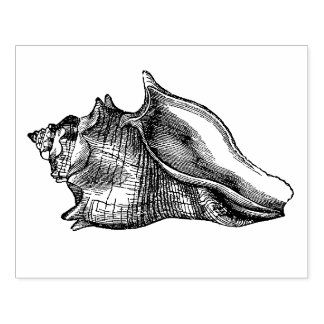 Vintage Seashell Rubber Stamp
