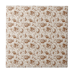 Vintage Seashell Toile Coastal Pattern (2) Ceramic Tile