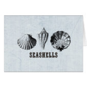 Vintage Seashells (Front Horizontal)