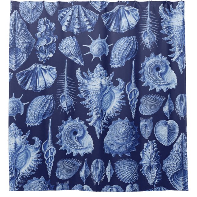 Vintage Seashells Blue Shower Curtain (Front)
