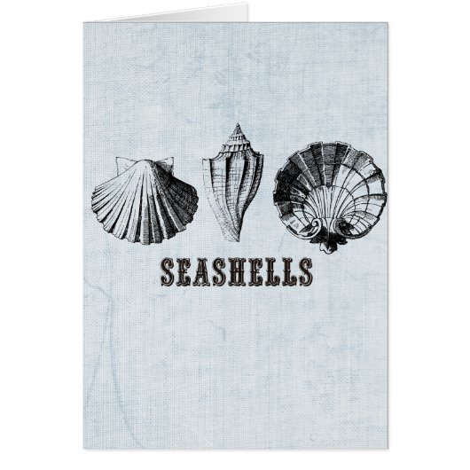 Vintage Seashells Cards (Front)