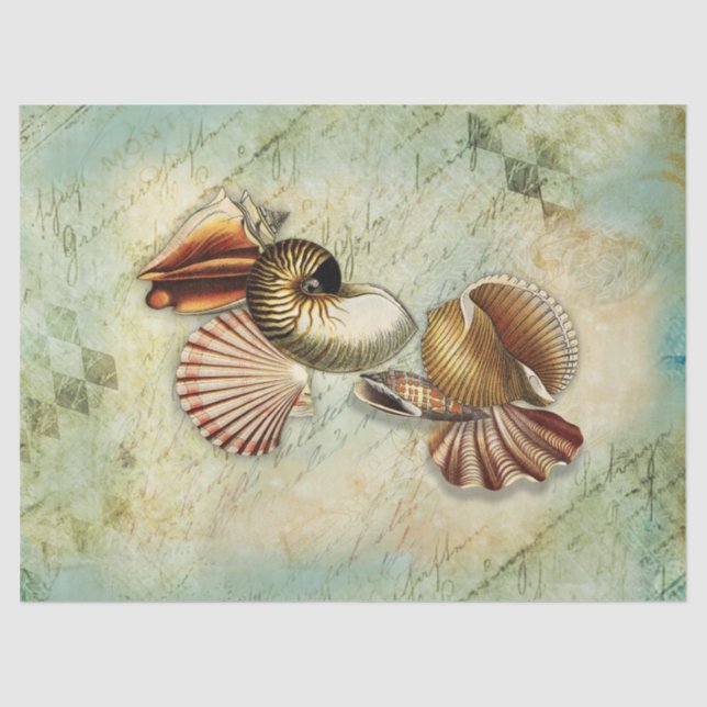 Vintage Seashells Decoupage Tissue Paper (Front)