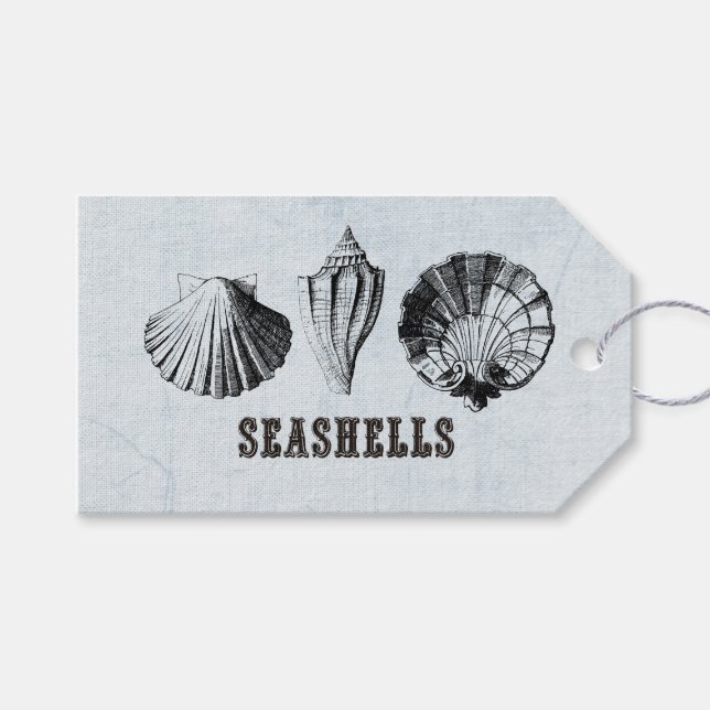 Vintage Seashells Gift Tags (Front (Horizontal))