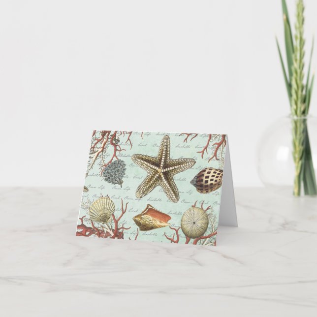 Vintage Seashells...note card (Front)