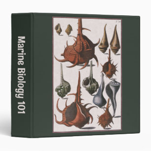 Vintage Seashells, Ocean Sea Shells Marine Life Binder