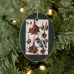 Vintage Seashells, Ocean Sea Shells Marine Life Ceramic Ornament