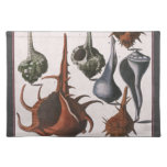 Vintage Seashells, Ocean Sea Shells Marine Life Cloth Placemat