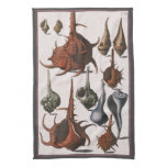 Vintage Seashells, Ocean Sea Shells Marine Life Kitchen Towel
