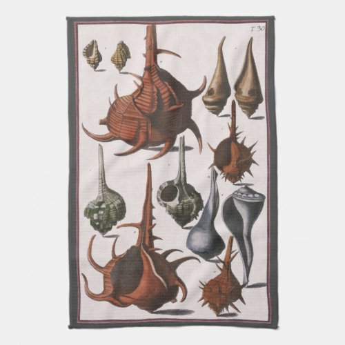 Vintage Seashells Ocean Sea Shells Marine Life Kitchen Towel