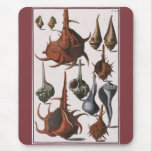 Vintage Seashells, Ocean Sea Shells Marine Life Mouse Pad