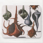 Vintage Seashells, Ocean Sea Shells Marine Life Mouse Pad