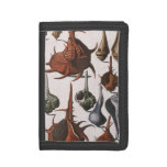 Vintage Seashells, Ocean Sea Shells Marine Life Tri-fold Wallet