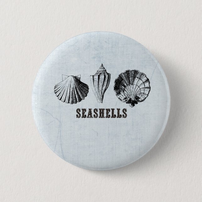 Vintage Seashells Pinback Button (Front)