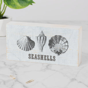 Vintage Seashells Trio Wooden Box Sign