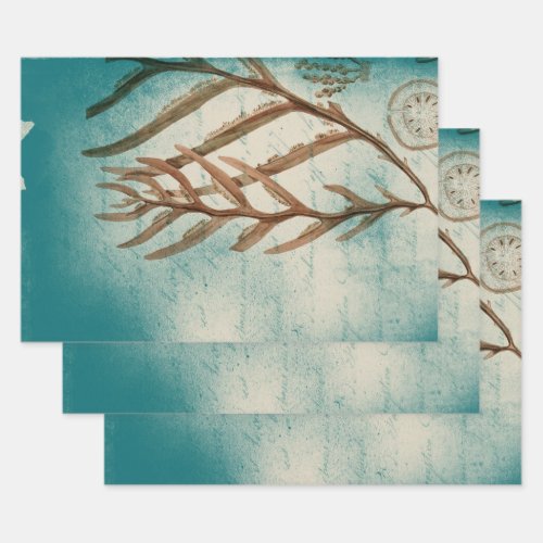 Vintage Seaweed on Teal Wrapping Paper Sheets