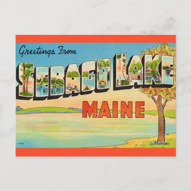 Vintage Sebago Lake Maine  Postcard (Front)