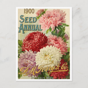 Vintage Seed Ad Postcard