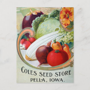 Vintage Seed Ad Postcard