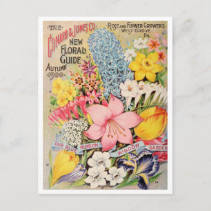Vintage Seed Ad Postcard
