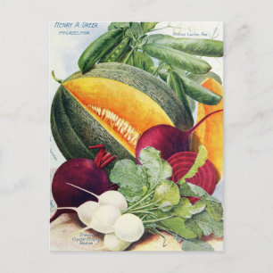 Vintage Seed Ad Postcard