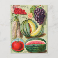Vintage Seed Ad Postcard