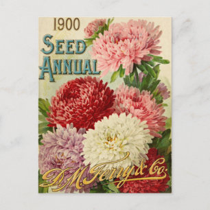 Vintage Seed Ad Postcard