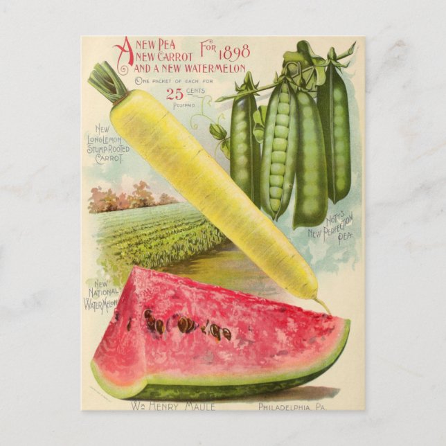 Vintage Seed Ad Postcard (Front)