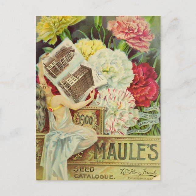 Vintage Seed Ad Postcard (Front)