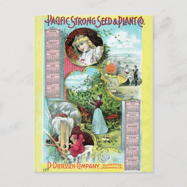 Vintage Seed Ad Postcard (Front)