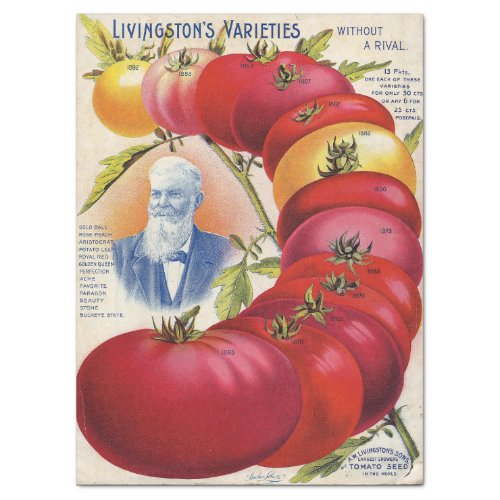 Vintage Seed Catalog 1800s Livingstons Tomatoes Tissue Paper