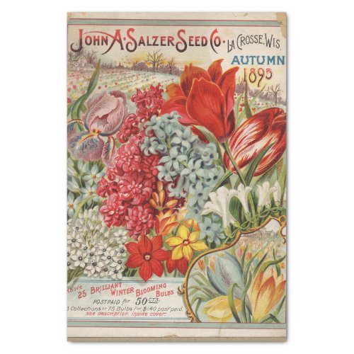 Vintage Seed Catalog 1895 John Salzer Winter Bulbs Tissue Paper