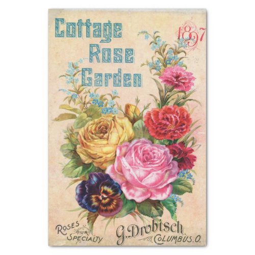 Vintage Seed Catalog 1897 Cottage Rose Garden Tissue Paper