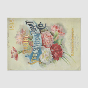 Vintage Seed Catalog 1898 Pacific Strong Seed  Tissue Paper