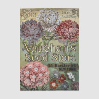 Vintage Seed Catalog, 1903, Vaughan's, Asters Tissue Paper