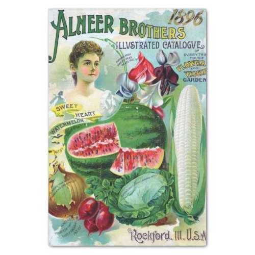 Vintage Seed Catalog Alneer Brothers 1896 Tissue Paper
