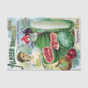 Vintage Seed Catalog Alneer Brothers 1896 Tissue Paper